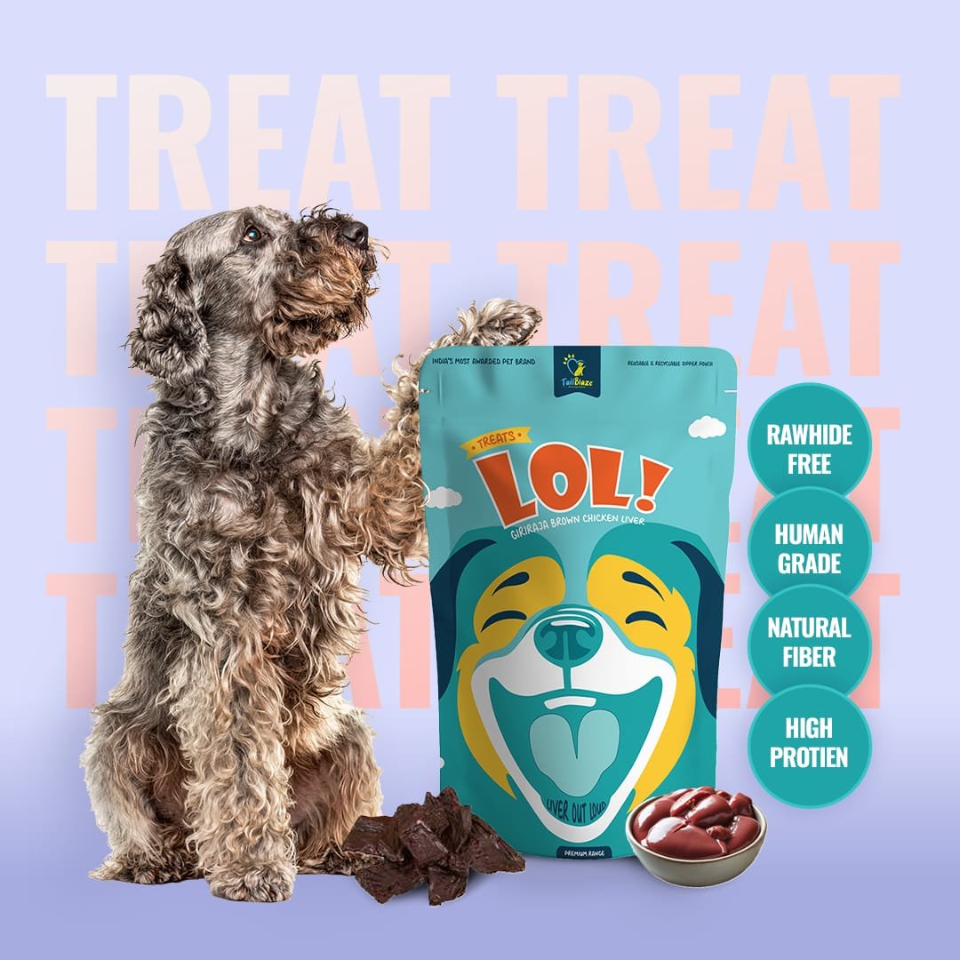 TailBlaze – Dog Treats Social Media Posts